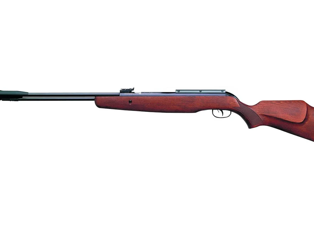 Gamo CFX Royal