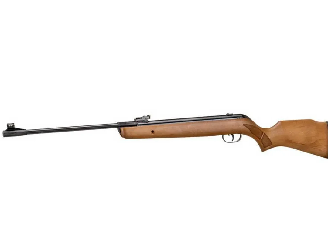 Gamo Big Cat Hunter