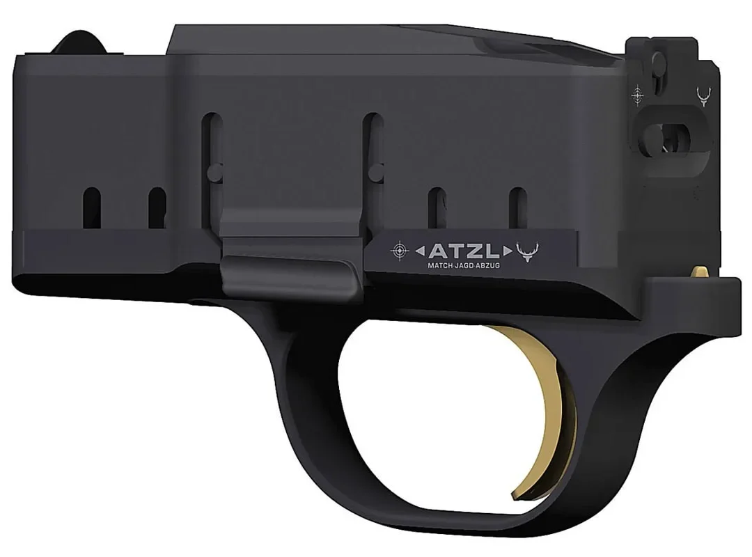 Colocacion a posteriori Atzl a Blaser R8