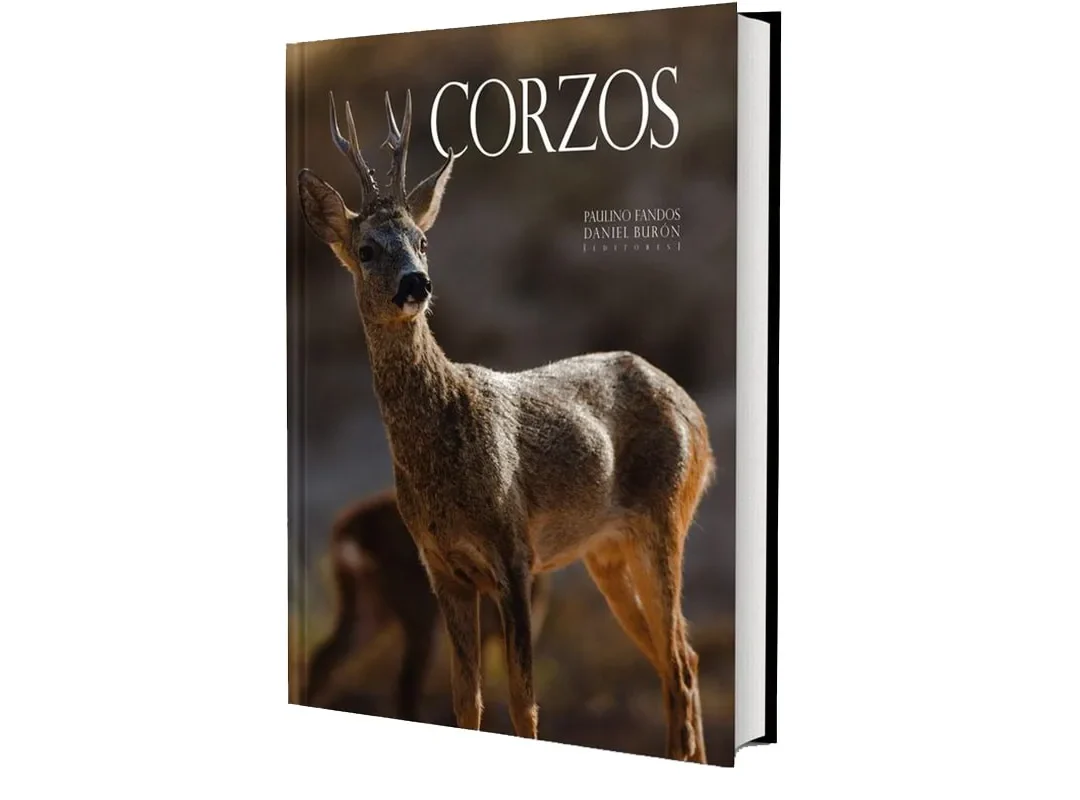 Corzos